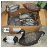 Foam Mallard Duck Decoys - Lot of (12)