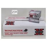 Winchester Super X 20 GA.-3' Ammunition