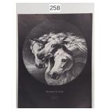 3 Horse in a Storm Litho