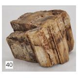 Petrified Wood Block