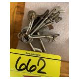RING OF VINTAGE METAL KEYS