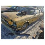 MUSTANG CAR PARTS OFF VIN: 6F07T197372