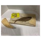 FISH FOSSIL SPECIMEN AGE UKNOWN, ANTIQUE