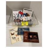 NATURE BOOKS, TUB OF DOG FLASH CARDS, FROG PAPER