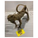 TAXIDERMY LIZARD - IS IN POOR SHAPE