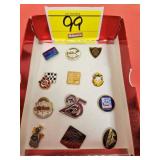 (12) PINS