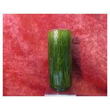 Rare Red Wing pottery textured vase 8.25'
