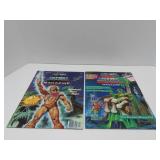(2)1985,1986 He-man MOTU poster books complete