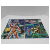 (2)1985,1986 He-man MOTU poster books complete