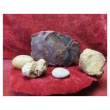 (5)pcs Petrified wood, rocks, minerals, fossils.
