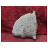 Prehistoric Native American stone tool head.