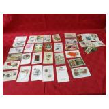 Vintage postcard lot.