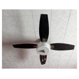 Hunter Ceiling Fan with Light Fixture