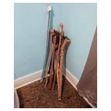 Several Walking Canes