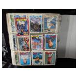 Baseball Card Collection in Binder
