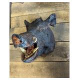 Boar