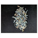 Shark Teeth