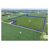250.94 +/- Surveyed Acres Prime Illinois Land Jasper & County