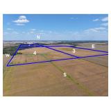 298.96 Acre Land Auction Fayette County & Marion County Illinois