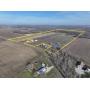 No Reserve Online Only 76.51 Acre Land Auction  Effingham County Illinois