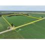30 Acre Online Only Auction Iuka, ILLINOIS
