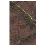 65.43 Acre Auction Bordering The Shawnee National Forest