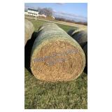 SORGHUM SUDAN WHEAT STUBBLE HAY 5x5 BALES