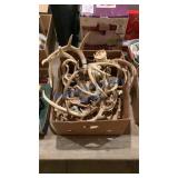 WHITETAIL ANTLERS