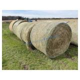 ALFALFA HAY 4X5 ROUND BALES - 2ND CUTTING