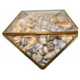 Glass Container with Shell Collection, 10x10x2.5 I