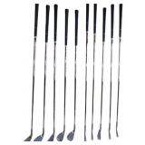 10 Accuform Forged Golf Irons 1-PW with Custom Gol