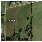 Tract 2. 13.5 (+/-) acres gently rolling land.