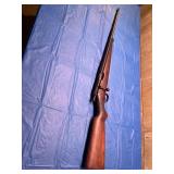 Savage arms, 22 long rifle