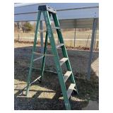6 foot Werner step ladder