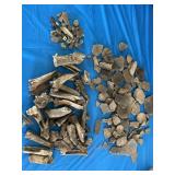 Indian artifactsï¿½ Pottery, and bone pieces