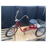 Desoto adult tricycle