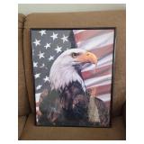 Bald eagle framed picture
