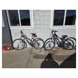 Road master and Schwinn bikes
