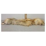 Fox fur pelt