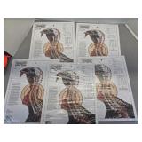 5 packs Champion turkey target