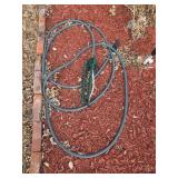 Garden hose & sprinkler