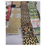 22LR ammo ammunition