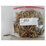 .223 Brass Casings