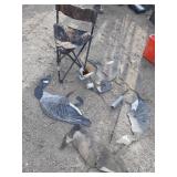 Sportsman,  chair, decoys, shells and more!