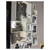 Animal photos cats, horses, dogs, cows