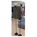 > 2 floor lamps