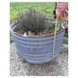 Galvanized tank planters 4