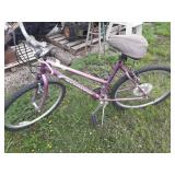 Schwinn Frontier bike