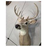 Buck mount