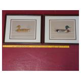 > Framed duck wall decor, Reid Kolman